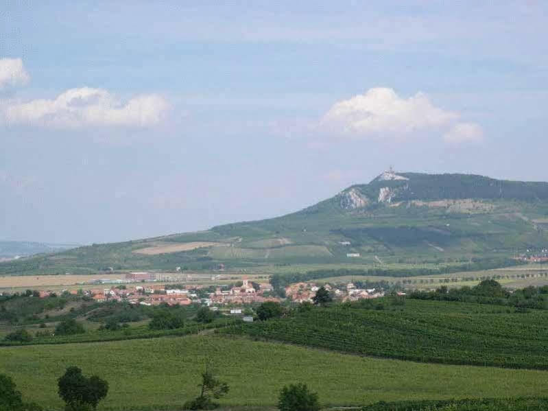 Penzion Barina Dolní Dunajovice 外观 照片